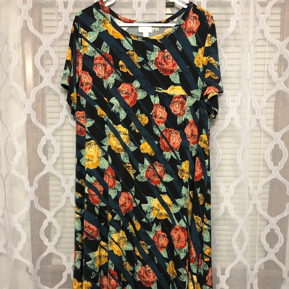 LuLaRoe Carly XL